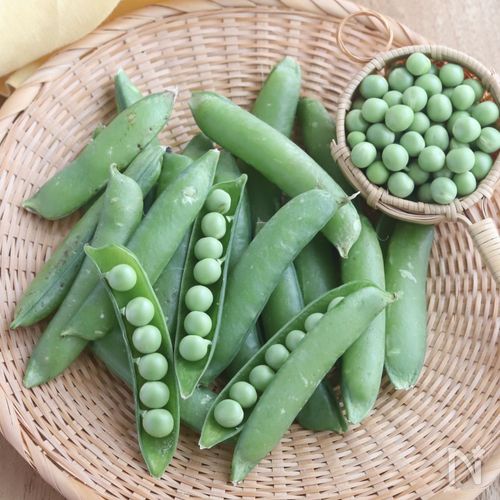 えんどう豆のだし浸し