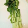 鶏むね肉で節約・美味しい！小松菜と鶏の台湾風コク旨炒めの工程1