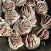 パパッとおつまみ!砂肝のネギ塩炒めの工程1