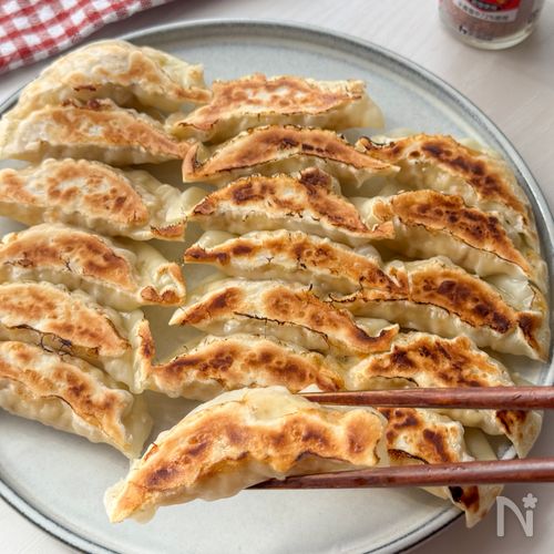 ヘルシー!スパイス香る大満足餃子