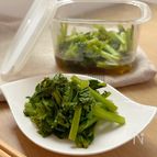 レンジでもう1品『冬菜のおひたし』作り置きにも！