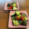 こむぎの作ってみた!投稿(トマトときゅうりのバジルチーズサラダ)