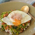 蒸して、優しい。豆苗のさっとビビンバ