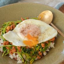 蒸して、優しい。豆苗のさっとビビンバ