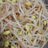 翔ママの作ってみた!投稿(【大豆もやしのピリッとナムル】ヘルシー！レンチンで完成✨)