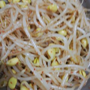 翔ママの作ってみた!投稿(【大豆もやしのピリッとナムル】ヘルシー！レンチンで完成✨)