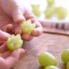 シャインマスカットの杏仁豆腐＊の工程9