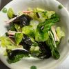 ともじつの作ってみた!投稿(チンゲン菜と海苔のナムル)