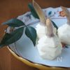 【おせちのキホン】松笠くわい