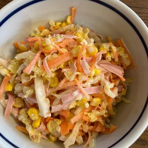 くだもの大好き🧡の作ってみた!投稿(【白菜のコールスロー】あっという間に完食♪)