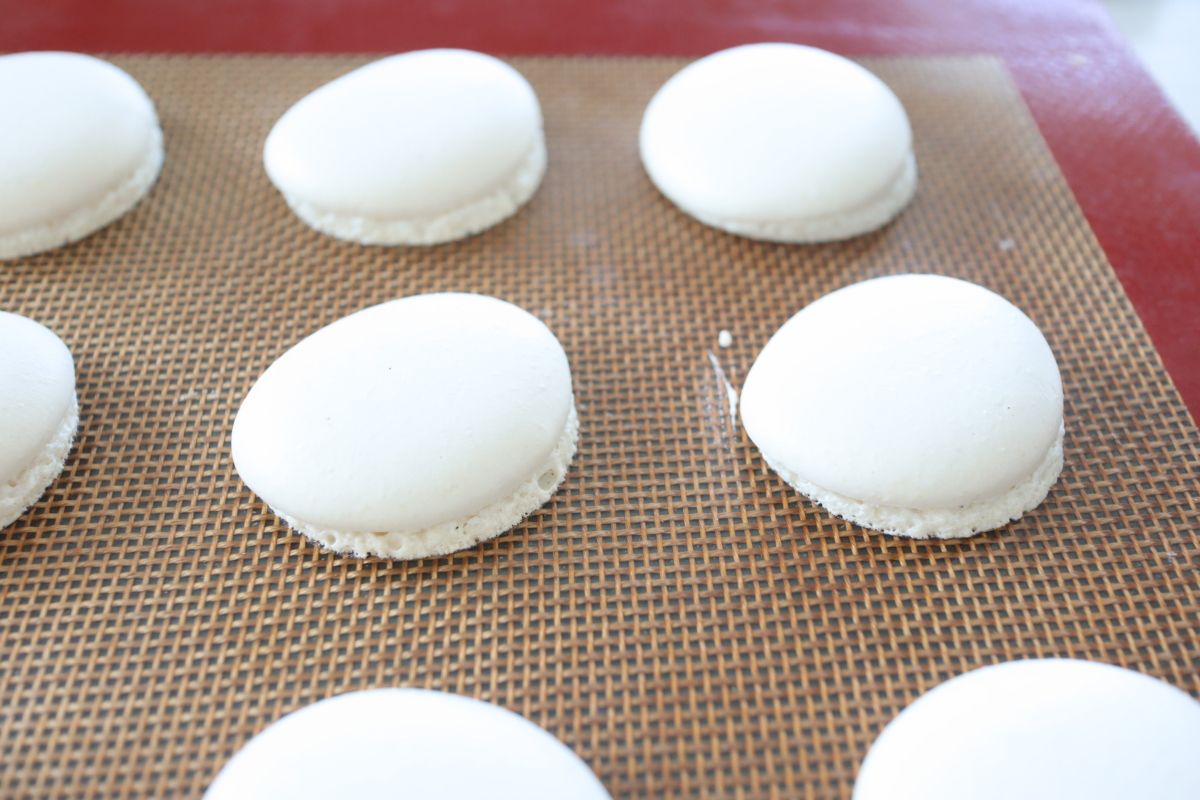 徹底解説 基本のバニラマカロン レシピサイト Nadia ナディア プロの料理家のおいしいレシピ