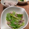 まなの作ってみた!投稿(＼お弁当にも／ワンパン10分【春キャベツの塩だれ豚こま炒め】)