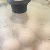 揚げずに簡単！【ワンパンミートボール】の工程4