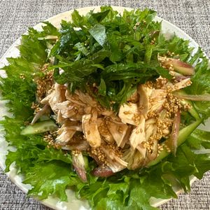 楽ラク手抜キッチン🐶🐾の作ってみた!投稿(【薬味たっぷりチキンサラダ】暑い日にぴったり♪)