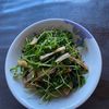 しば丸の作ってみた!投稿(【生豆苗とメンマの塩昆布和え】今日のおつまみ)