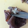 5分で完成！【きくらげの梅ポン酢和え】あと1品・作り置きにの下準備