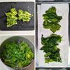 春の絶品あんかけ茶碗蒸し│白だしで簡単！お祝いごはんの1品にの工程2