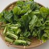 菜の花の和風ポテサラの工程1