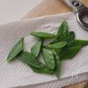 【サバのバラちらし風】お花見、お弁当に♪の工程4