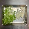 【水菜のツナそぼろサラダ】蒸らして食べやすい♪の工程1