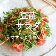 「豆苗サラダ」30選｜ササッと作れる！