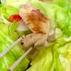 レタス1玉消費!重ねて蒸すだけ♪【手羽先のレタス蒸し】の工程6