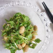【包丁不要】豆苗と大豆のごま酢和え