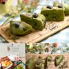 クラ蔵の作ってみた!投稿(材料4つ！HMで超簡単♡黒豆抹茶スコーン)