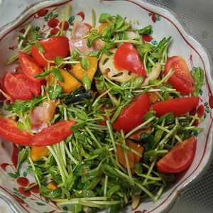 鶏皮坊主の作ってみた!投稿(【カボチャとベーコンのデリ風豆苗サラダ】簡単15分)