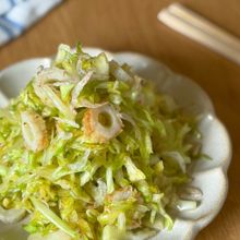 無限春キャベツ