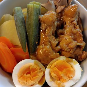かめちゃん🐢の作ってみた!投稿(ほろほろチキンの絶品カレー煮込み)