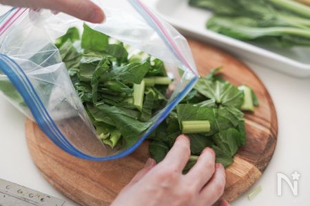 チャック付きの保存用袋に入れて、平らにならします