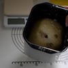 冷めてもふわふわしっとり！レーズンパンの工程6