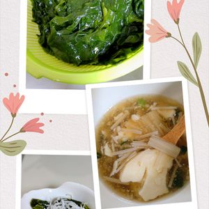 ゆみの作ってみた!投稿(【とろとろねぎ胡麻スープ】豆腐とえのきの簡単中華スープ♬)