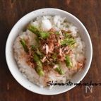 アスパラのおかかバター醤油のっけごはん