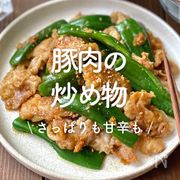 「豚肉の炒め物」30選｜さっぱりも甘辛も
