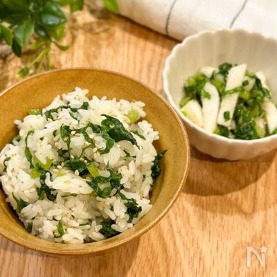 10分で2品作れる!かぶの葉菜めしとかぶナムル
