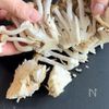 カリカリにんにく香る♪【ガーリックハニバタチキン】の工程1