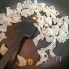 花びら茸とえびのコク旨ワンパンパスタの工程2