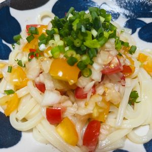 新米ちゃんの作ってみた!投稿(【10分でできる簡単レシピ!!】冷製サルサうどん)