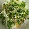 大根と生ハム《デリ風♡旨ぽんサラダ》の工程1