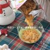 【5分で簡単!】クリスマスリースチョコの工程2