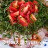 1/アラ還の手習いの作ってみた!投稿(ごま油香る、ぶりの葱だれカルパッチョ)