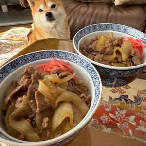 レイチーの作ってみた!投稿(我が家のバター牛丼)