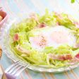 巣ごもりキャベツ