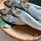 【基本】3倍美味しくなる♪ いわしの下処理・煮付け用