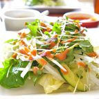 酵素ベジに合う胡麻ドレッシング