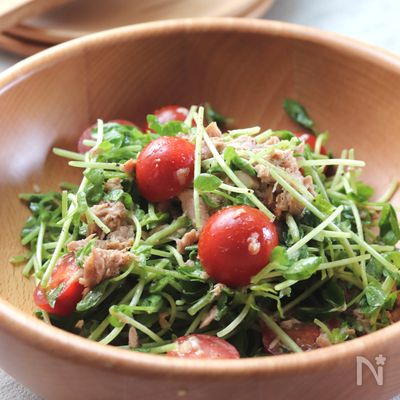 【豆苗とトマトのツナサラダ】もりもり食べれる元気になるサラダ