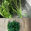 春菊と炒り卵と豆腐のごま味噌あえ【ふんわり春の香り♪】の工程2