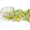 塩もみ白菜と手羽元のスープの工程2